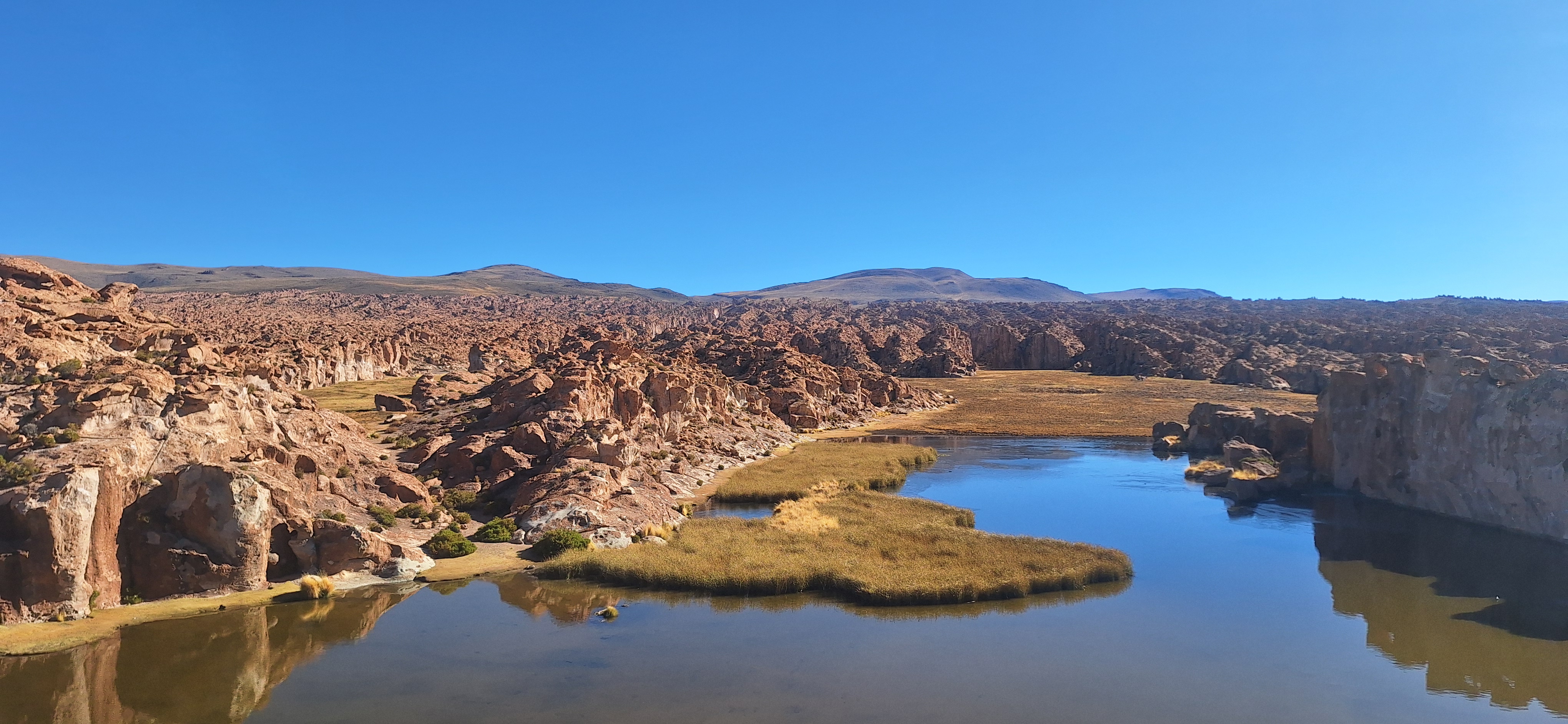 2024 Bolivia Laguna Catal.jpg